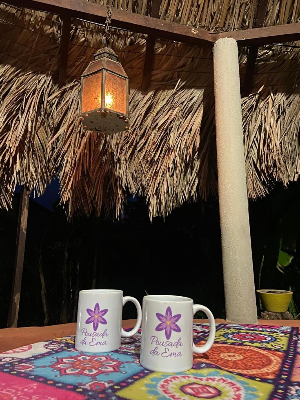 Pousada Canela De Ema Mateiros Luaran gambar